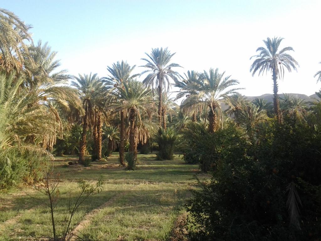 مبيت وإفطار Tamnougalt Kasbah Itrane المظهر الخارجي الصورة
