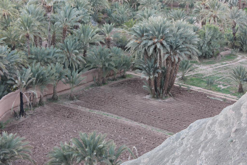 مبيت وإفطار Tamnougalt Kasbah Itrane المظهر الخارجي الصورة