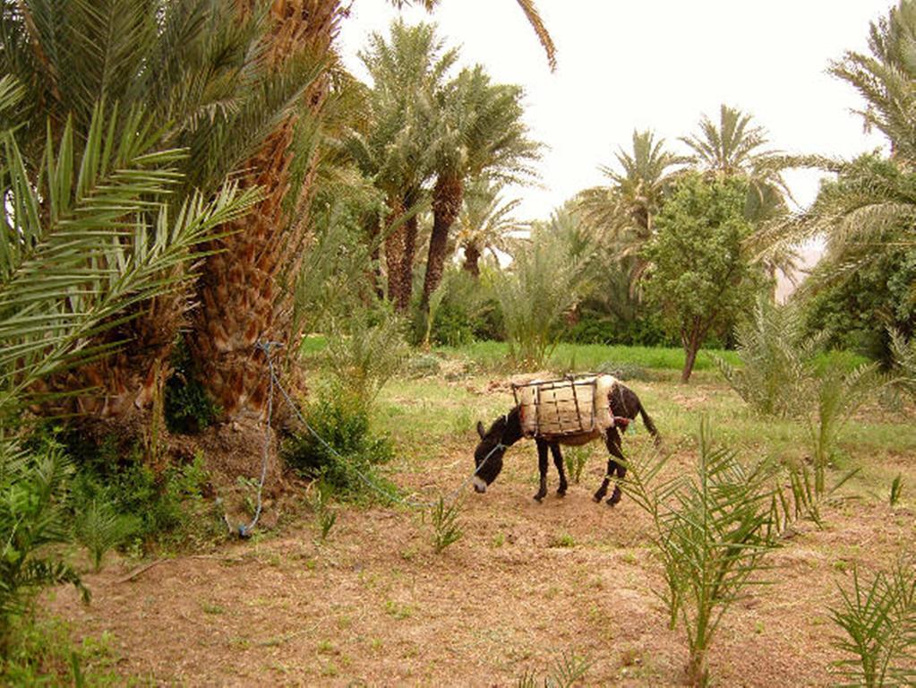 مبيت وإفطار Tamnougalt Kasbah Itrane المظهر الخارجي الصورة